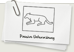 Die passive Unterordnung des Hundes